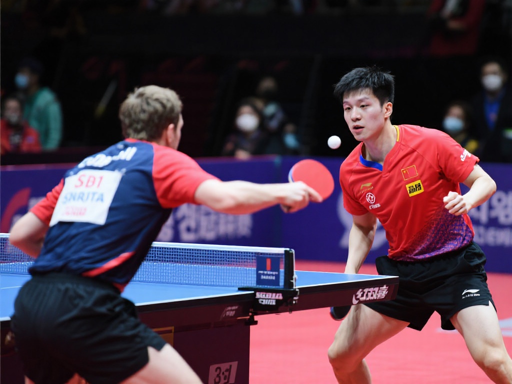 再到社交互 再到社交互