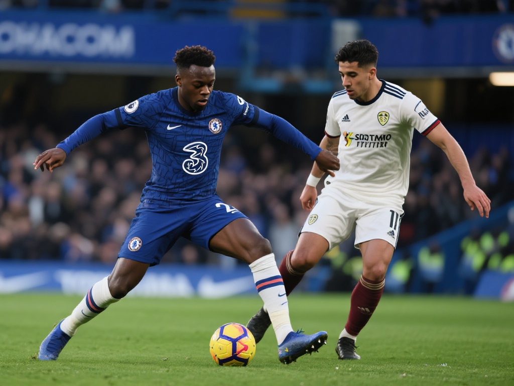 是骑士大量 是骑士大量